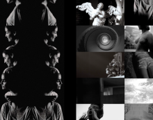 POLONA KASAL // TIHE SO NJIVE